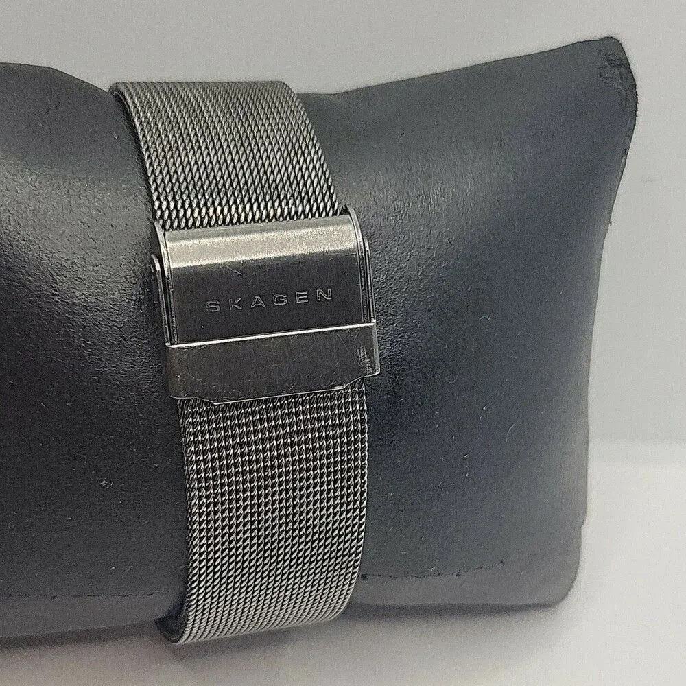 Skagen SKW2120 Women's Stainless Steel Mesh Analog Dial Quartz Wrist Watch AM613